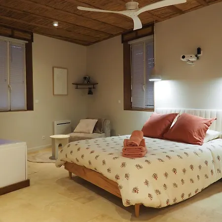 Loft Balneo, Parenthese Bien-etre A Deux Lejlighed Gaillac
