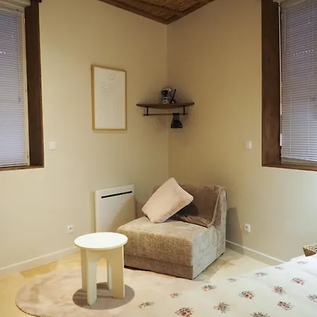 Lejlighed Loft Balneo, Parenthese Bien-etre A Deux Gaillac